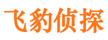 乡城市侦探公司